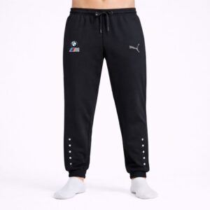 Puma Negro